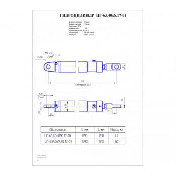Гидроцилиндр выдвижения опор ЦГ-63.40х1490.17-01 (КС-45726.31.300)